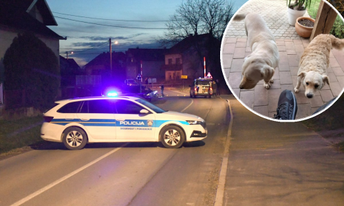 Policija traži čovjeka koji je usmrtio dva psa: 'Svakog su dočekivali mašući repom'