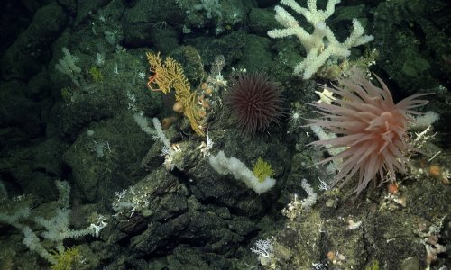 Nova studija pokazuje da je globalno zatopljenje počelo ranije nego što se mislilo