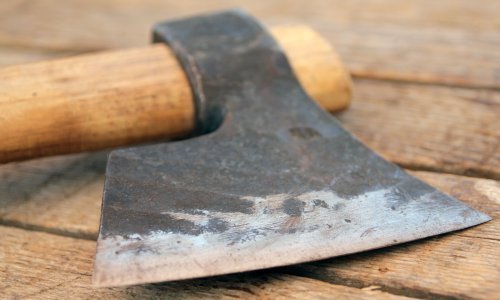 Drama u Srbiji: Učenica u razred donijela sjekiru