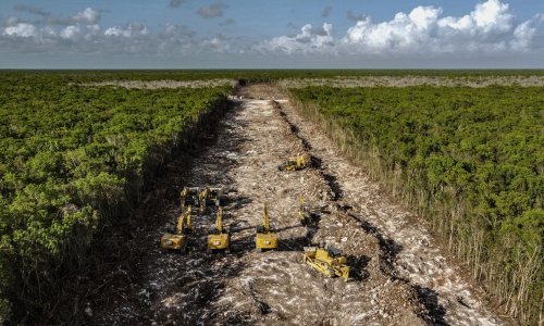 Šverc drva ili krađa vode? Za štetu protiv okoliša predviđa se i do deset godina zatvora