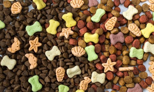 Kupci, oprez! S polica se povlači popularna hrana za ljubimce, sadrži salmonelu