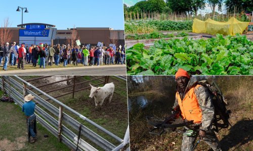 Amerikance, kao i Hrvate, muči skupa hrana. Snalaze se vrtlarenjem, kuponima i lovom
