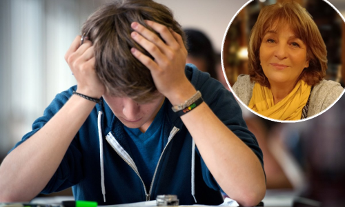 Dijete niže jedinice, a upis u srednju školu je iza ugla. Kako se izvući iz nemoguće situacije?