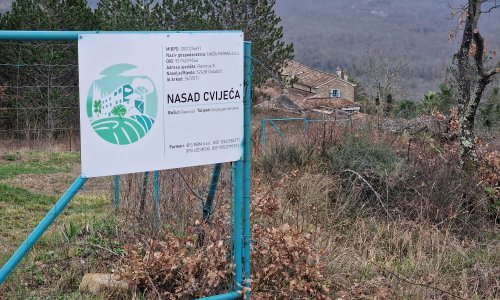 Pogledajte 'nasad' tulipana zbog kojeg je pao bivši ministar Vojković