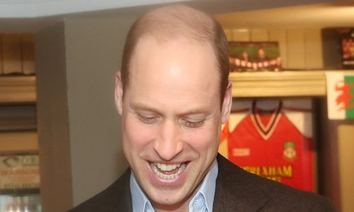 Članovi kraljevske obitelji postali glavna tema teoretičara zavjera, a jasno je i zašto