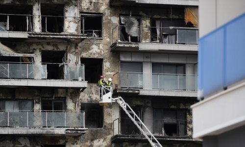 Mačak pronađen na zgarištu u Valenciji osam dana nakon strašnog požara