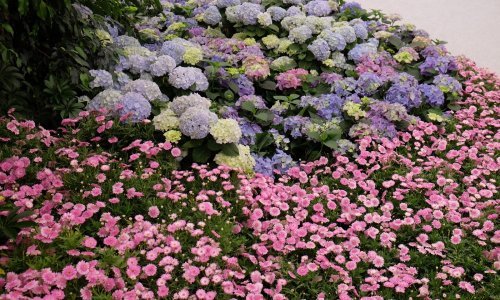 Evo kako pripremiti svoj vrt za proljeće: Ovo su najbitniji zadaci u ožujku
