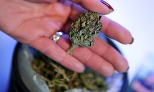 UN-ov odbor za droge 'pokopao' legalizaciju kanabisa u Njemačkoj