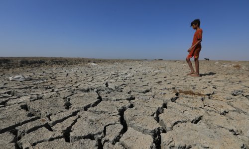 Europa se sprema na glad: Evo kako bi izgledala velika nestašica hrane