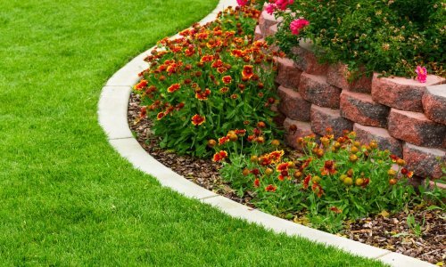 Vratite blistavu zelenu boju svom travnjaku ovim jednostavnim trikom