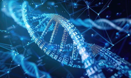 Nema genetske razlike između Hrvata, Srba, Bošnjaka i Albanaca