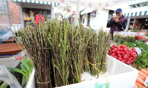 Na riječku tržnicu stigle prve šparoge, cijena im je paprena