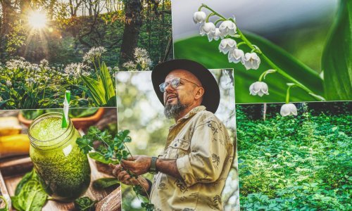 Najzdravija hrana ujedno je - besplatna! Stručnjak nam je otkrio sve o njoj