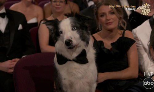 Najveće iznenađenje večeri bio je upravo on - psić iz filma 'Anatomija pada'