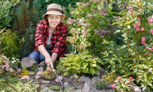 Riješite se korova: Potrebna su samo tri sastojka koja vjerojatno već imate pri ruci