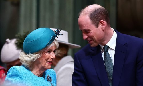 Jedino se princ William nije naklonio kraljici Camilli, poznato je i zašto