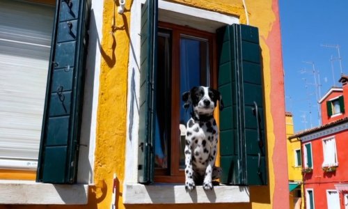 Uskoro ćete i sami moći isprobati OpenAI-jevu Soru