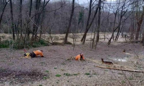 HGSS-ovci spasili pet mladih koza iz 'živog blata'