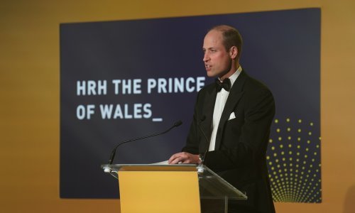 Kate se nije pojavila: Princ William i Harry na dodjeli nagrada odali počast Diani