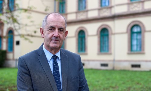 'Milanović je svoj efekt postigao, odluka Ustavnog suda vrlo malo će utjecati na izbore