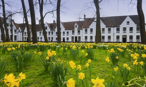 Znate li što su beginaži? UNESCO je zaštitio ove belgijske ženske oaze