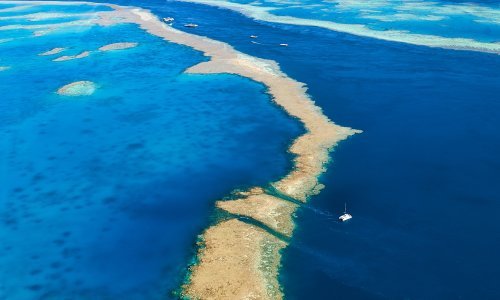 Otkriveno izbjeljivanje koralja na krajnjem sjeveru Velikog koraljnog grebena