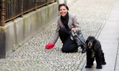 Prljave cipele najmanji su problem. Pseći izmet opasniji je nego što mislite