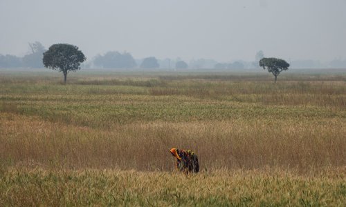 EU će uvesti carine na uvoz ruskog žita