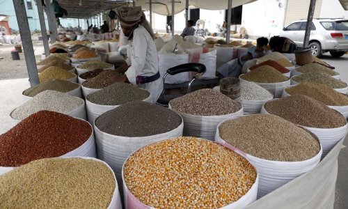 BRICS osniva zajedničku burzu žitarica? Ovo je ruski prijedlog