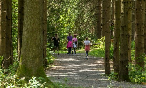 Danas je Svjetski dan šuma: 'Hrvatska ima 95 posto prirodnih, dive nam se'