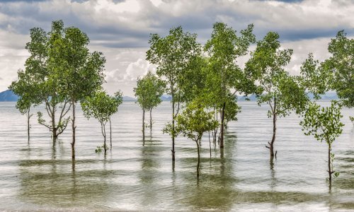 NASA: 'Porasla globalna razina mora zbog El Nina i klimatskih promjena'