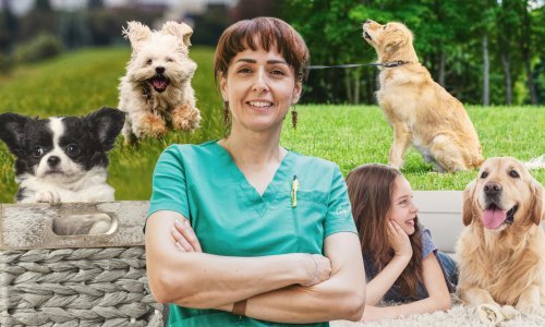 Želite psa? Veterinarka daje odgovore na ključna pitanja koja si trebate postaviti