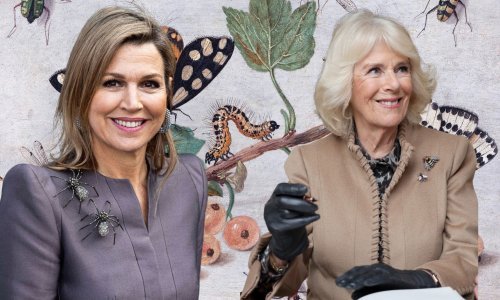 Kraljice Maxima i Camilla dijele isti ukus za neobične dodatke