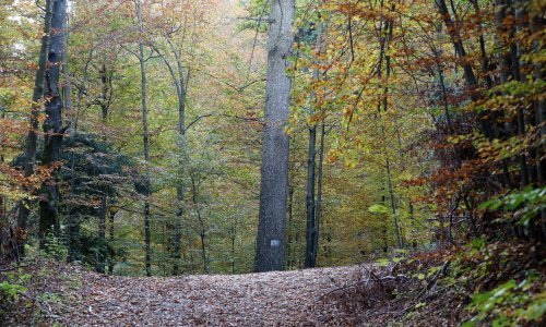 Stiže 17 milijuna eura za klimatske projekte, evo tko ih može dobiti