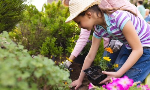 Nije sve za smeće: Ovo su ostaci hrane koji će nahraniti biljke i poboljšati kvalitetu tla