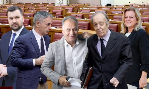 Manjine su posljednjih osam godina držale ljestve Vladi, evo kakva je situacija u toj jedinici