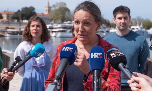 Možemo! u 9. izbornoj jedinici očekuje barem jedan mandat