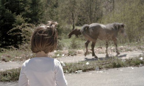 Čović prosvjeduje: Autocesta kroz Hercegovinu uopće se ne gradi!