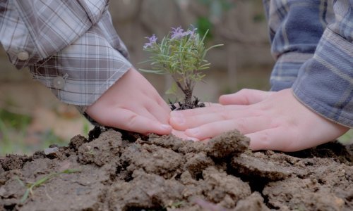 Pustite klince da se igraju u blatu, to je zdravo za njih