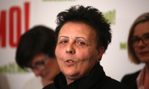 Anić: Stranka Možemo! je za razvoj zanemarenih područja, a tu spada i Slavonija