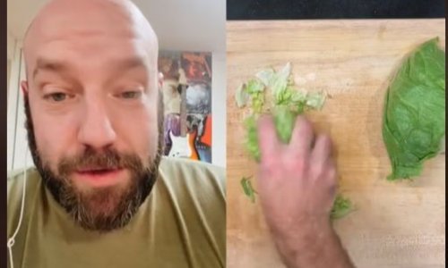 Bivši korporativni kuhar McDonald'sa otkrio zašto je salata skuplja od hamburgera