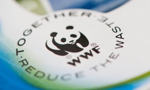 Analiza WWF-a: Što hrvatske stranke planiraju napraviti za zaštitu okoliša?