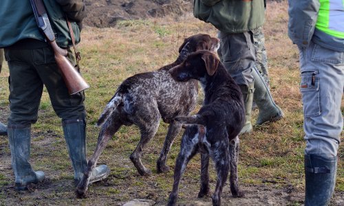 Lovci se sastali s ministrom Božinovićem, iskoristit će važan potencijal