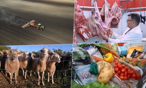 U proizvodnji hrane smo loši, evo kako političari planiraju popraviti poljoprivredu