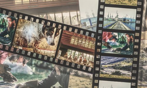 Probrali smo bogati program ZagrebDoxa: Ovo je pet filmova koje ne smijete propustiti
