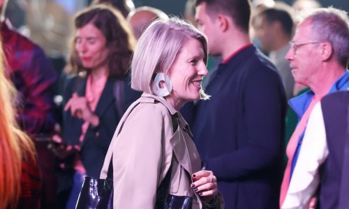 Tko je sve od poznatih stigao u izborne stožere: Od Ide Prester do Stjepana Jimmyja Stanića