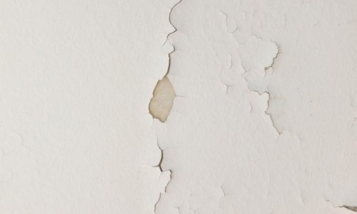 Ne ponavljajte greške! Donosimo učinkovito rješenje za otklanjanje vlage i plijesni