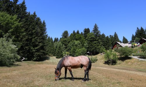 Hrvatski biser proglašen je za skriveni dragulj Europe u kojem ćete uživati bez gužve