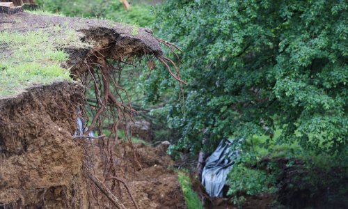 Časne sestre posjekle više od stotinu stabala na zagrebačkom klizištu