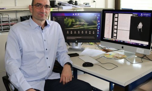 Hrvatski znanstvenici otkrili fascinantan genetski paradoks